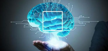 探索人工智能應(yīng)用軟件開發(fā) 從概念到落地的全流程剖析